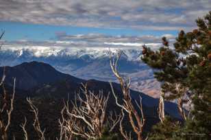 The Sierras from the Bristlecones-9051